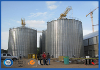 Capacità ondulata galvanizzata del silos di grano del metallo grande 813m3